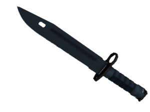 Bayonet | Night