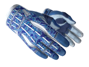 Luvas Desportivas | Amphibious